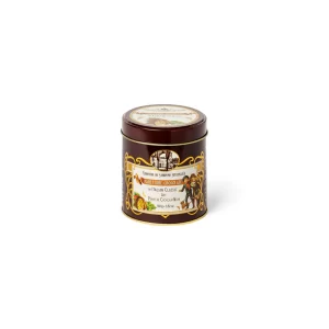PANNETONE CHOCO CHIPS TIN DILETTA 100g - Image 1