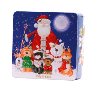 SANTA & ANIMAL FRIENDS ASSORTED BISCUITS TIN 250g - Image 1