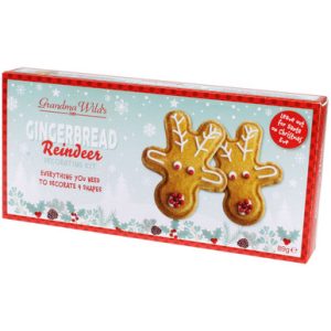 REINDEER DECORATING KIT 89G - Image 1
